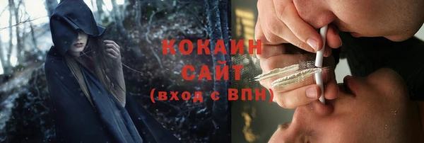 спайс Бородино