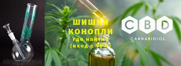 спайс Бородино