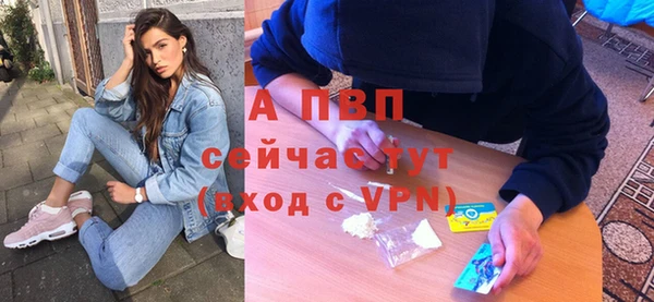 спайс Бородино
