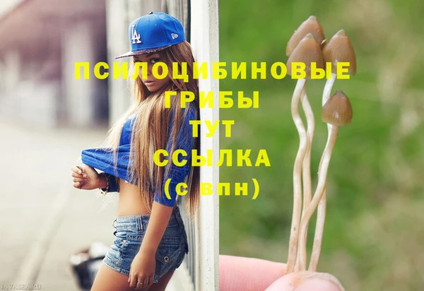 спайс Бородино