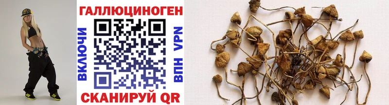 Галлюциногенные грибы Cubensis  Дегтярск 