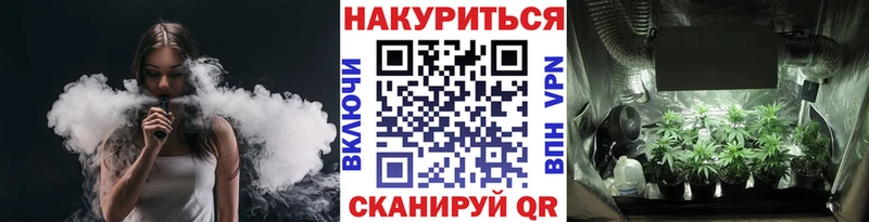 Каннабис планчик Дегтярск